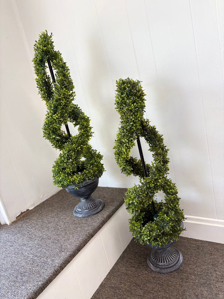 Rental- Boxwood Topiary
