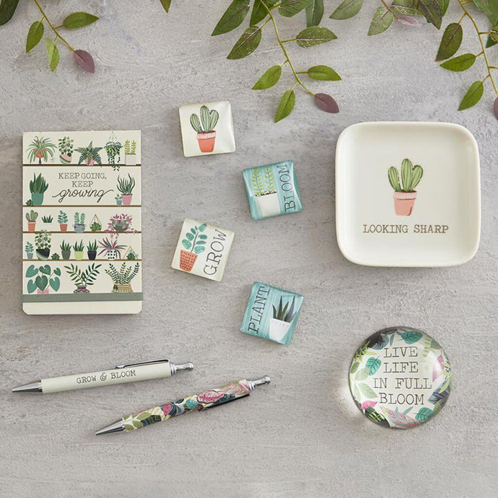 4" Sq Trinket Tray - Looking Sharp