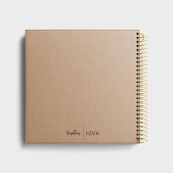 Illustrating Bible - The Gospels