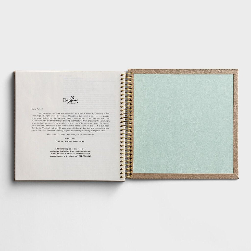 Illustrating Bible - The Gospels