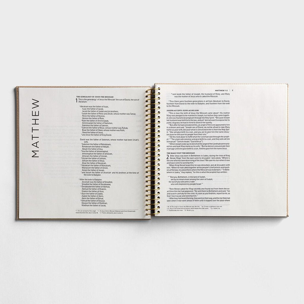 Illustrating Bible - The Gospels